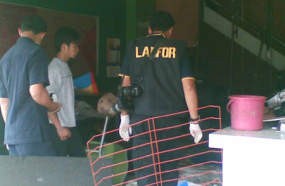 Puslabfor Mabes Polri Tak Temukan Bahan Peledak